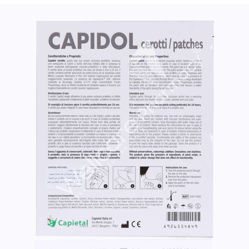 Capidol Pain Releive Patches 5'S - Wellcare Pharmacy