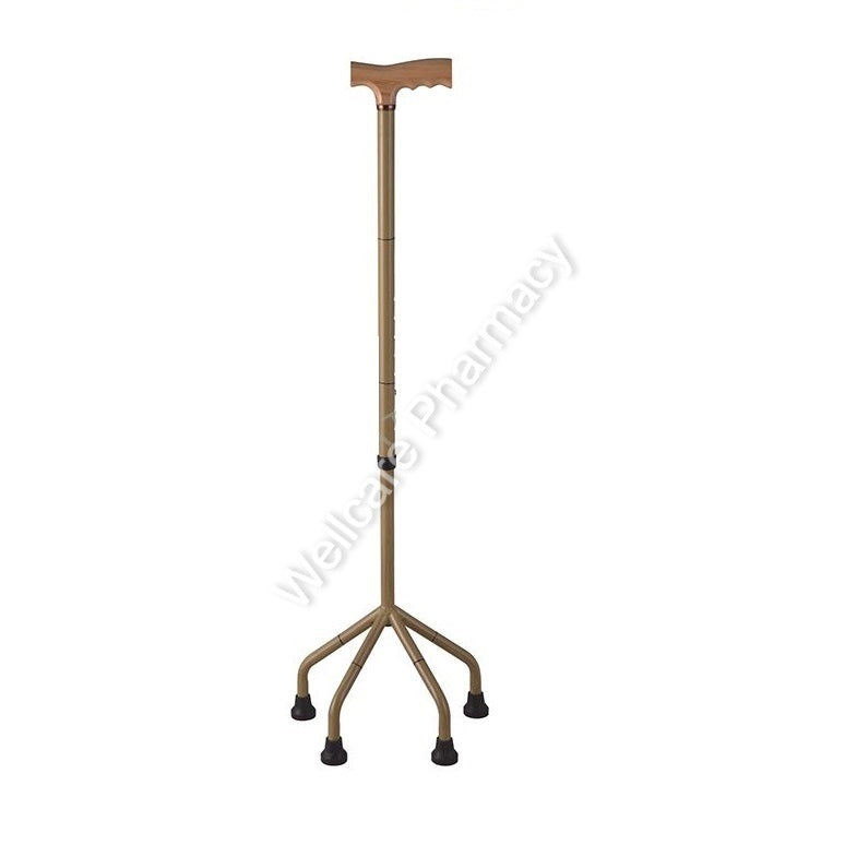 Caremax Ca8453 Walking Sticks