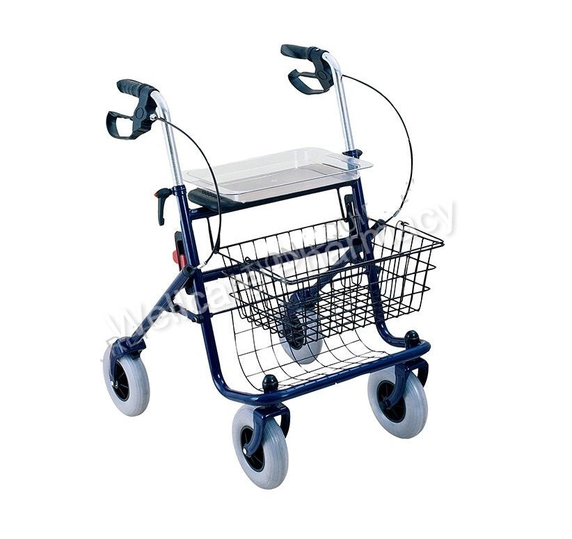 Caremax Ca880 Steel Rollator – Wellcare Pharmacy