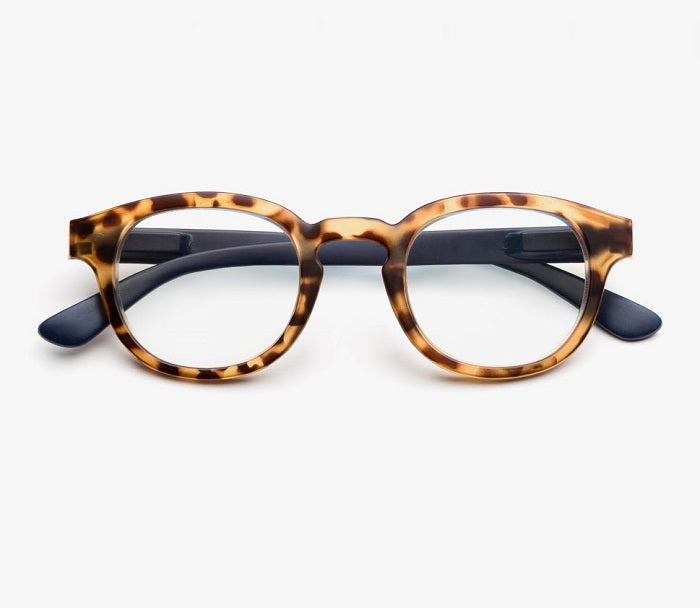 Digital B+D Screen Tortoise