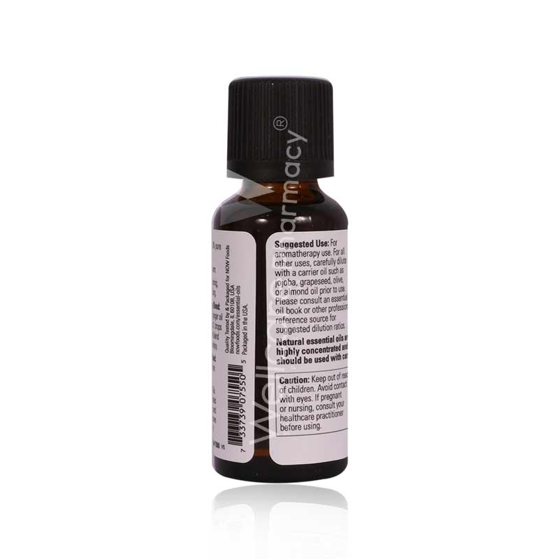Now Ginger Oil 30ml-7550