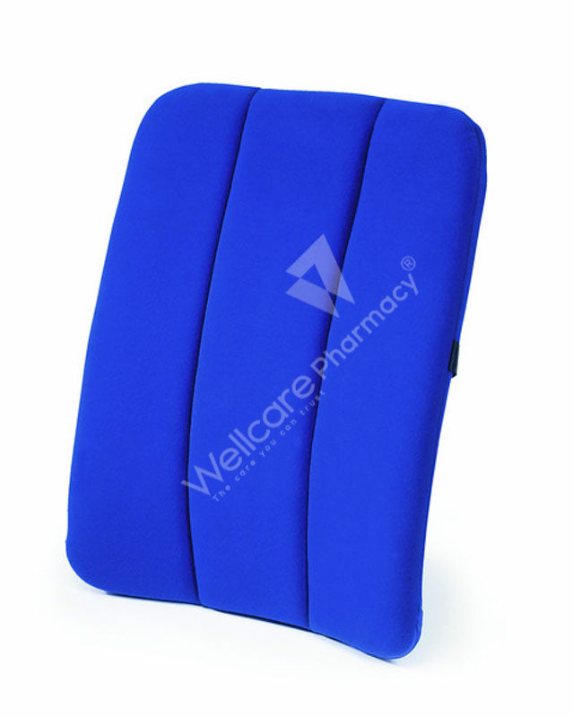 Sissel Dorsaback Car Blue