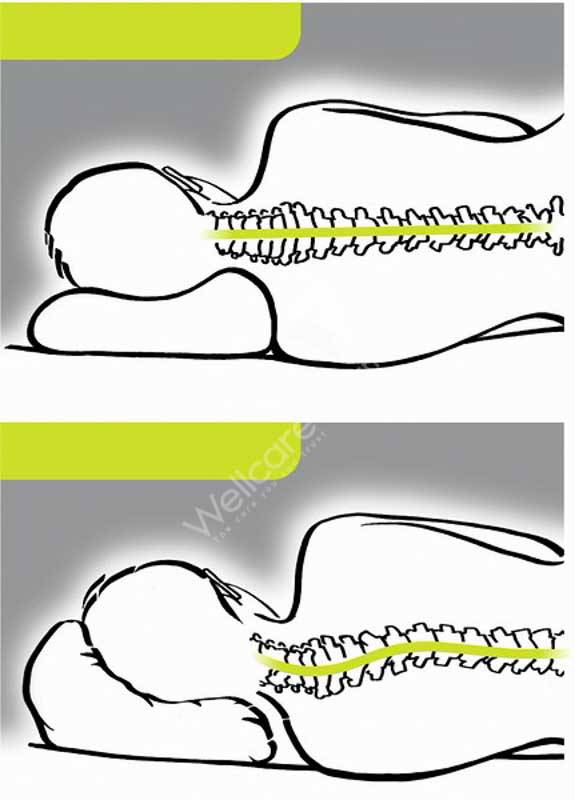 Sissel Medium Soft Curve Pillow - Wellcare Pharmacy