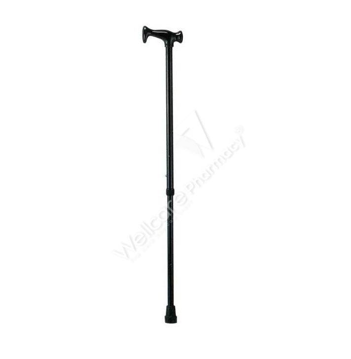 Wcp Ky939l Walking Stick - Wellcare Pharmacy