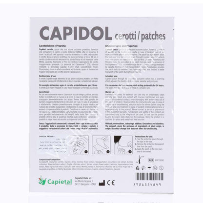 Capidol Pain Releive Patches 5'S