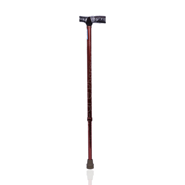 Dayang Dy59201lb Walking Stick