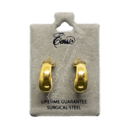 Earrs Eb535 Small Hoop
