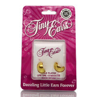 Earrs Small Plain Hoop