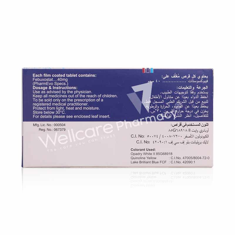 Gouric 40mg Tablets 20'S Gouric 40mg Tablets 20'S