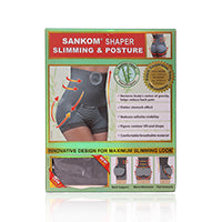 SANKOM 013BM L/XL GREY WOMENS BAMBOO BRIEF