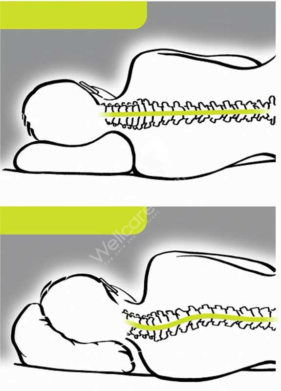 Sissel Medium Soft Curve Pillow