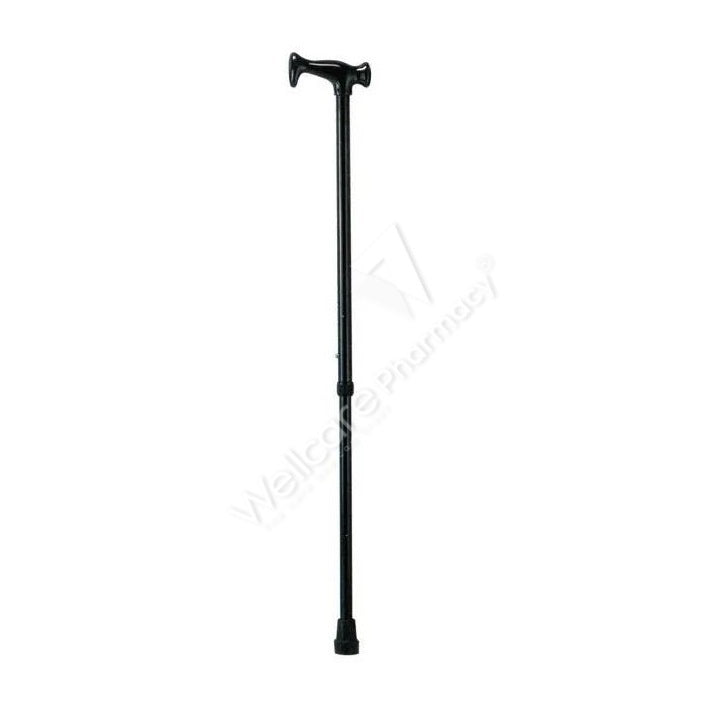 Wcp Ky939l Walking Stick