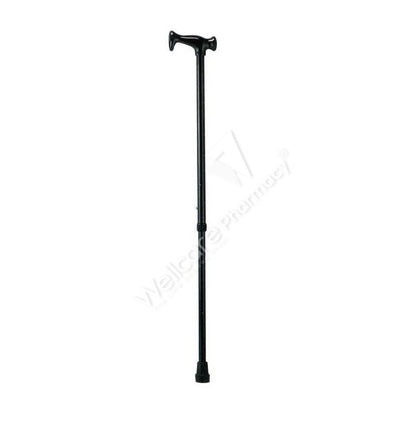 Wcp Ky939l Walking Stick