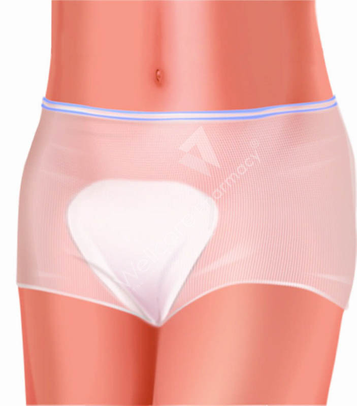 Buy Newmom Disposable Panty 5'S Large in Qatar Orders delivered quickly -  Wellcare Pharmacy